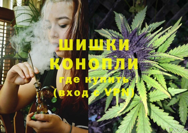 каннабис Бородино