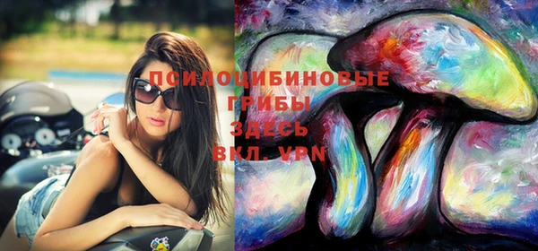 соль ск Бронницы