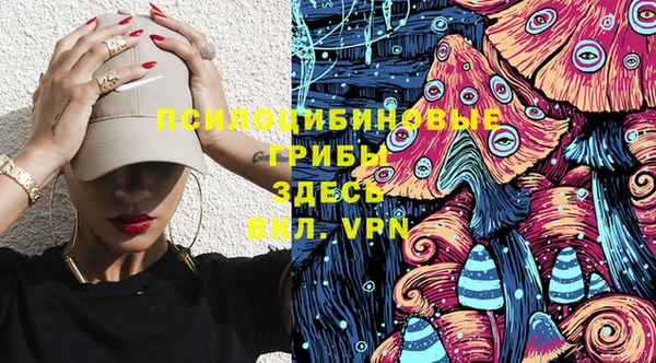 соль ск Бронницы