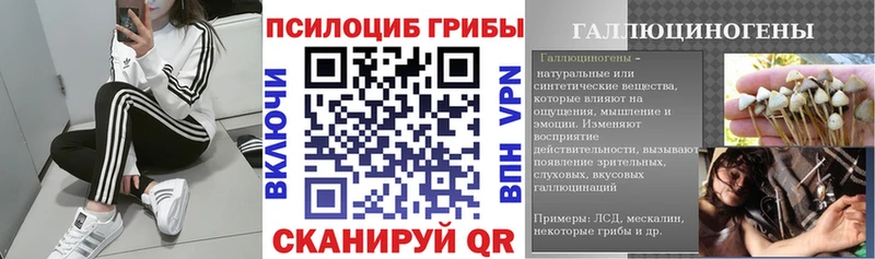 Купить где  Кулебаки  Псилоцибиновые грибы GOLDEN TEACHER 
